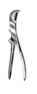 Plain Rib Shears, Curved, Eccentric Joint 9" (23 cm) - Garana Industries