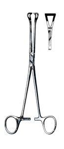 Babcock Tissue Forceps 9 1/4" (23.5 cm) - Garana Industries