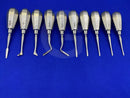 Root Elevator Small Handle Set of 10 Pcs / Dental Elevator Set